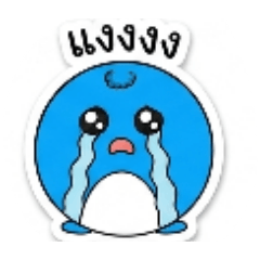 pass_20260608002349