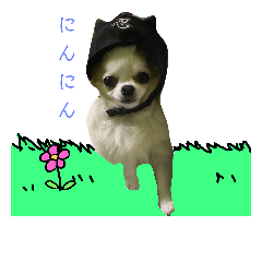 わんにゃんづくし