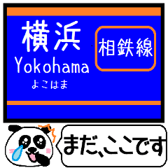 相鉄線 いずみ野線 駅名今まだこの駅です！