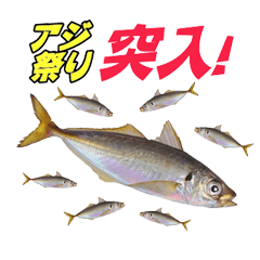 釣り語系『今日のなにがし』