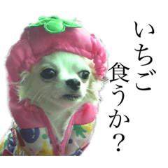 やまうちクレアだよ☆