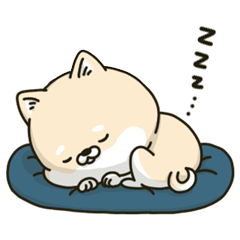 シバイヌーン Part8