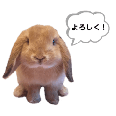 ステファニースタンプ④