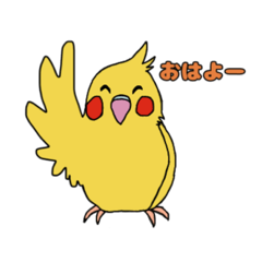 ことりLife〜オカメインコ2〜