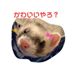 うちのぺぺスタンプ