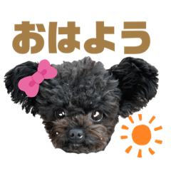 チワプーのサブちゃん♀スタンプ