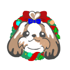 シーズーくうちゃん2