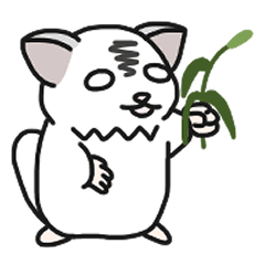 くみちょ君の日常