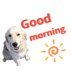 こむぎ&のあちゃん