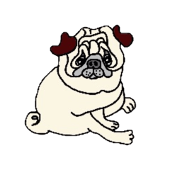 腕白パグちゃん