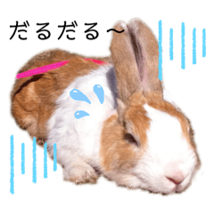 うさぎとデグー のゆる写真スタンプ