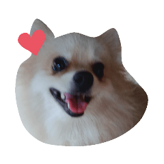 Peachy_20200610110421