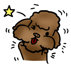 my sister's dog "sheep"