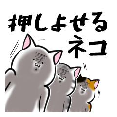 押しよせるネコ