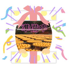 Chris_20201129165129