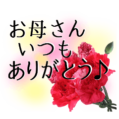 母の日に花を♪カーネーション