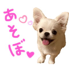 みるく(ペキチワ)2