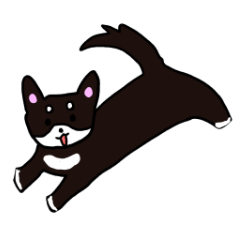 スポーツ大好き犬