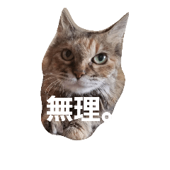 たびとかーたん