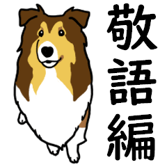 大好き！シェルティ9