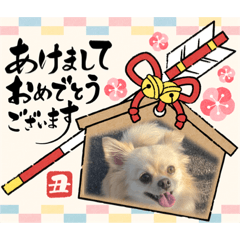 ニコニコにこさん#3