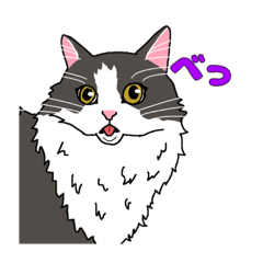 あら坊とむーちゃん！