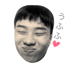 かわいいこうちゃんスタンプ