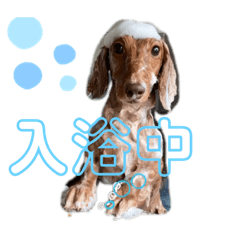 ベルちゃんといっしょ。