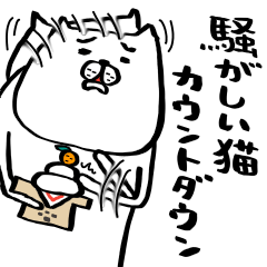 騒がしい猫 カウントダウン