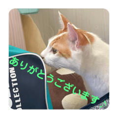 夢睦(むぎ)ファミリー@1