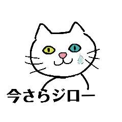 昭和なオッドアイゆきちゃん