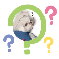 チースケですよ