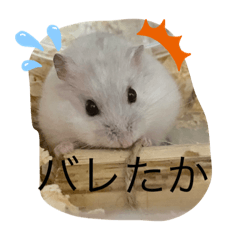 ふくみスタンプ☆でちでちー