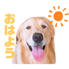 万能ひめちゃん