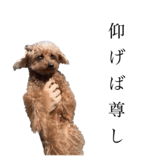 いっっっっっっっっぬ