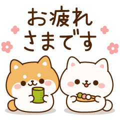 飛び出す！わんわんずの優しい言葉♪