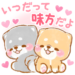 飛び出す⚡気遣い1❤️いやしばいぬ