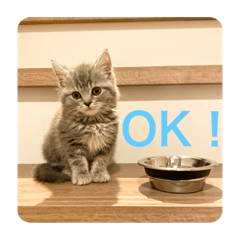 さくらスタンプ(1)