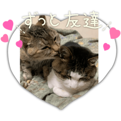 suzumomo_20220504010046