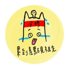 Simple Cat Not Simple!