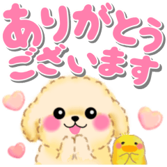 かわいいトイプードル「でか文字」