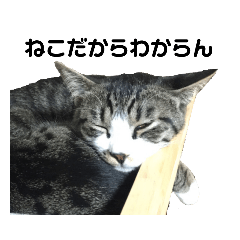 しめじ＆なめこスタンプ