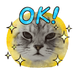 WeiWei_20220811170125