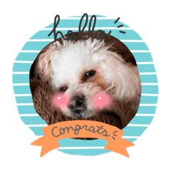 アルフのすたんぷ