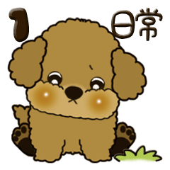 茶プードル 1『日常』