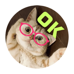 こむぎちゃん3シリーズ