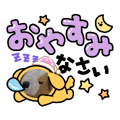 ポチノスケのスタンプ４