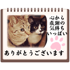 ヒナちゃんとメイくん