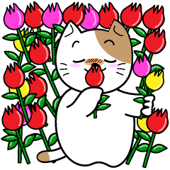 またたび 富山県