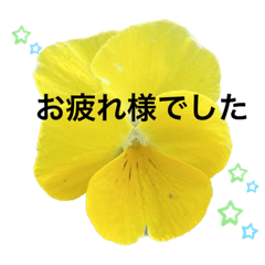 生花のスタンプ1